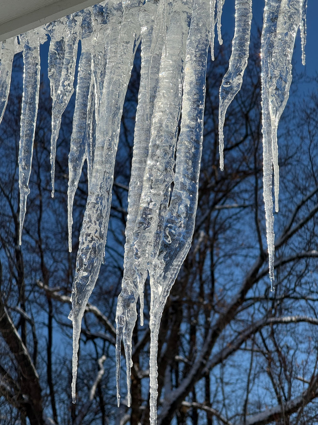 Dropping Circles Earrings in Mother of Pearl