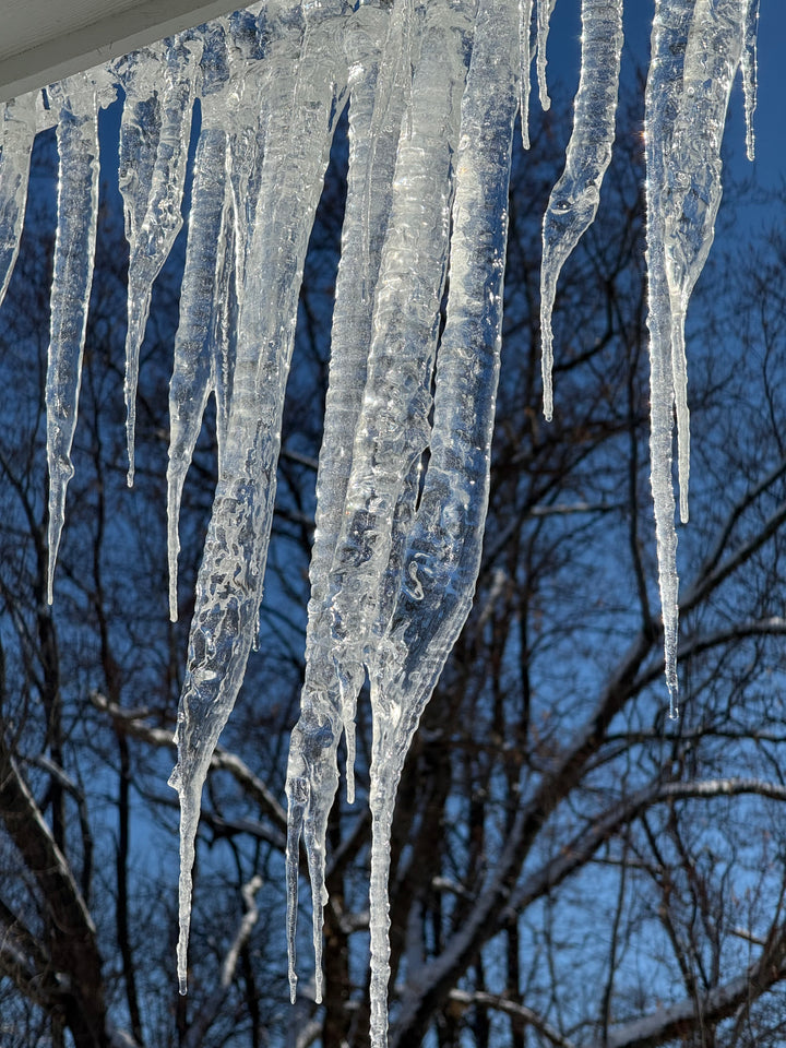 Dropping Circles Earrings in Mother of Pearl